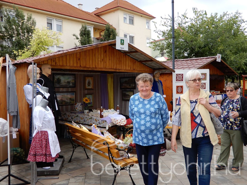 Helyi Értékek Startja 93